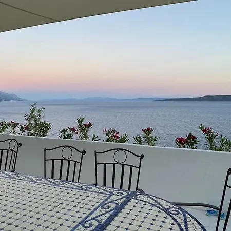 Le View * Pisak